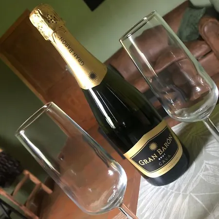Bed & Breakfast Escapade Sur La Palette